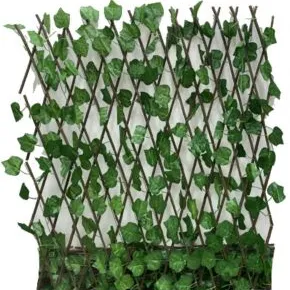 شبك اوراق - صورة 1